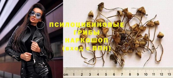 мяу мяу мука Беломорск
