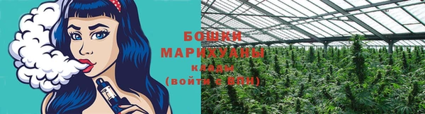 мяу мяу мука Беломорск